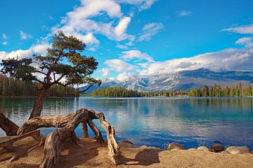 Quiet mountain lake near Jasper by Reinhard  Pantke