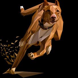 Abstract: Bruine hond rent – Lowpoly van Yoga Art 15
