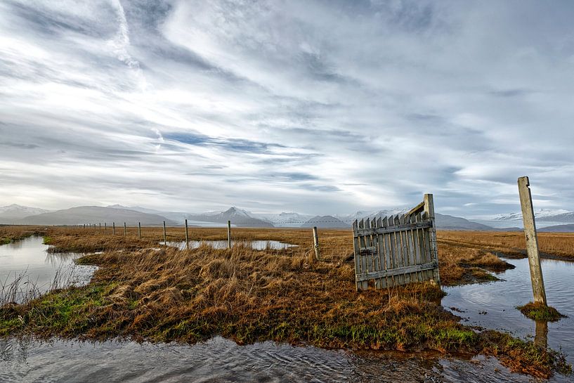 Paysage islandais. par Tilly Meijer