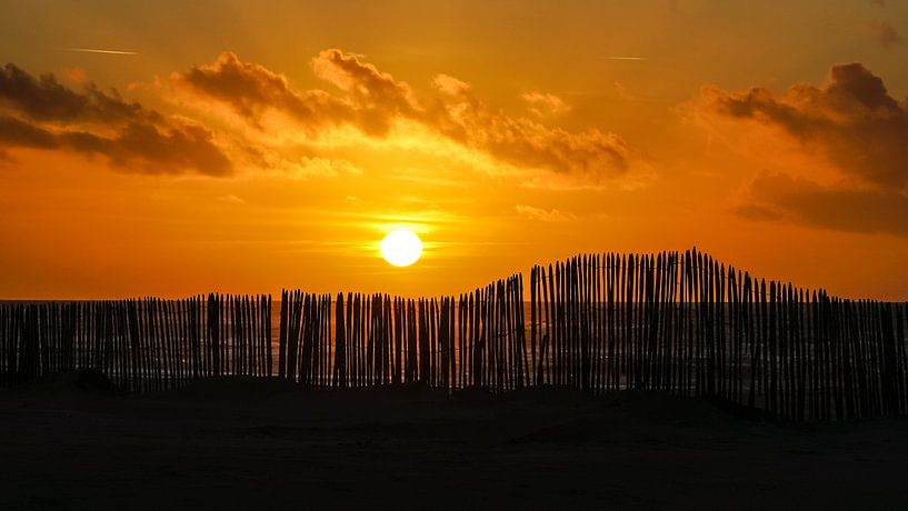 Strandleven! by Dirk van Egmond