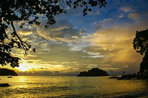 Kleurenexplosie bij Pulau Pangkor