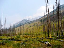 yoyo you know by Yoyo pictures