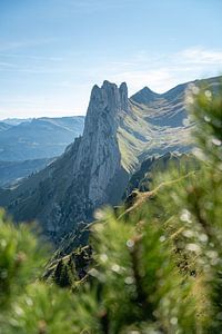Saxer Lücker bei Tageslicht