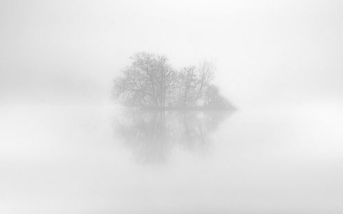 Island in the fog