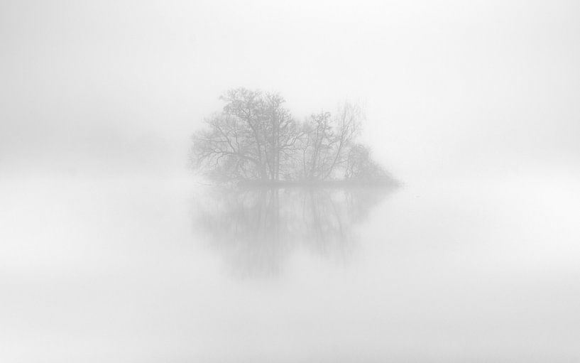 Eiland in de mist van Nils Steiner