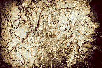 I wood from Holland by Jan van der Knaap