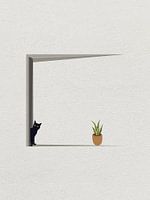 Minimal art van spelende kat voor de deur