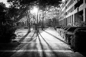 Zwart-wit foto van de binnentuin van Cortile, met tegenlicht en lange schaduwen en twee spelende kinderen