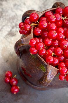 Aalbes in aardewerk potje 