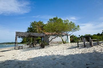 Het strand van het eiland Itaparica, Brazilië. van Kees van Dun