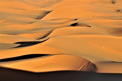 Dünen bei Erg Chebbi