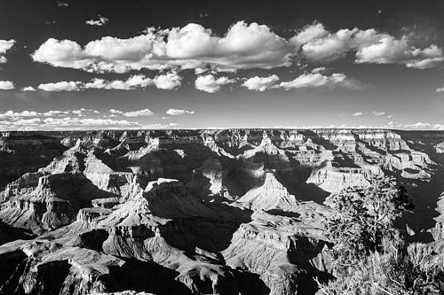 Grand Canyon National Park in Zwart-Wit