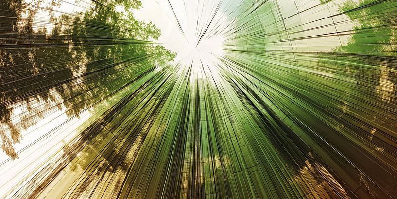 Lines of growth by byRenzo