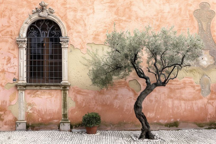 Olive tree by Poster Art Shop