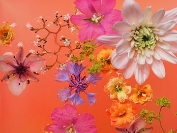 Kleurrijke bloemen compositie bloemen bad van raisa haveman