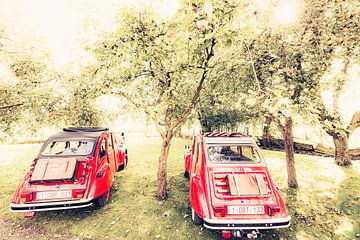 Deux Citroën 2CV au repos dans un verger de pommiers par une belle journée d'été en Belgique sur Bas Meelker