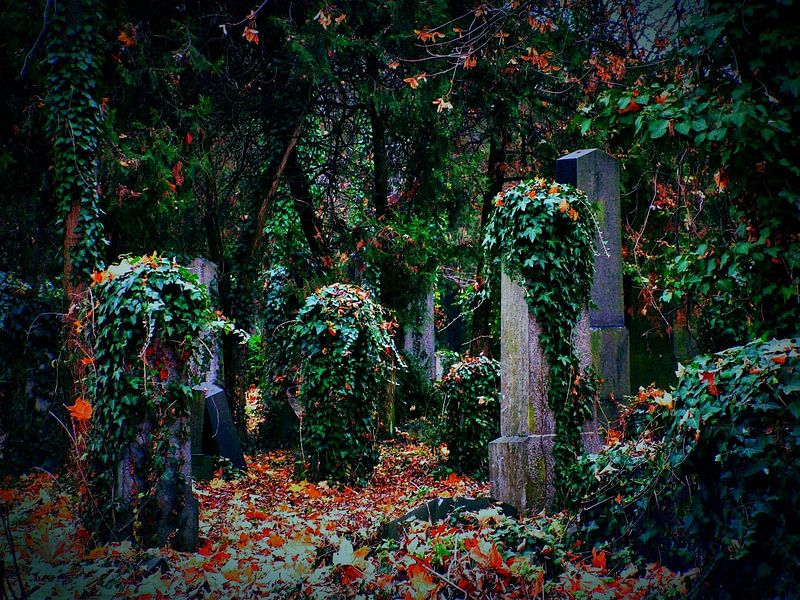 Friedhof 02 von Ilona Picha-Höberth