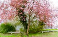 Pointillisme