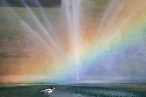 Eine Ente vor dem Regenbogen