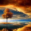 Autumn Dream by Jacq Christiaan thumbnail