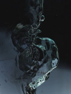 Fluid Elegance by Shot by Clint