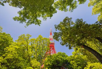 Tokyo Tower - Japan by Marcel Kerdijk