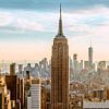 Empire State New York van Freek van den Bergh