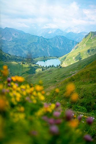Bloemrijk uitzicht op de Seealpsee in de Allgäuer Alpen