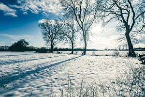 Snowy winter landscape during a beautiful winter day