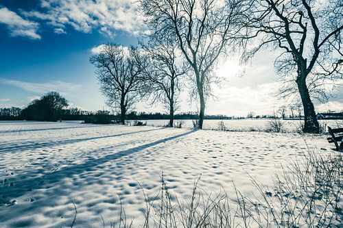 Besneeuwd winterlandschap tijdens een mooie winterdag