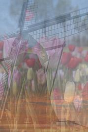 A windmill in a field of colourful tulips by Art. by Janine