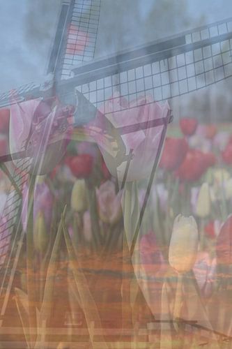 Abstracte fotografie | Fine-Art Nature |  Een molen in een veld met kleurrijke tulpen