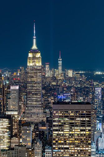 Skyline New York City vanaf de Top of the Rock