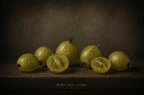 Kruisbes — stilleven in klassiek licht