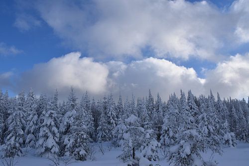 De top van de berg na de storm