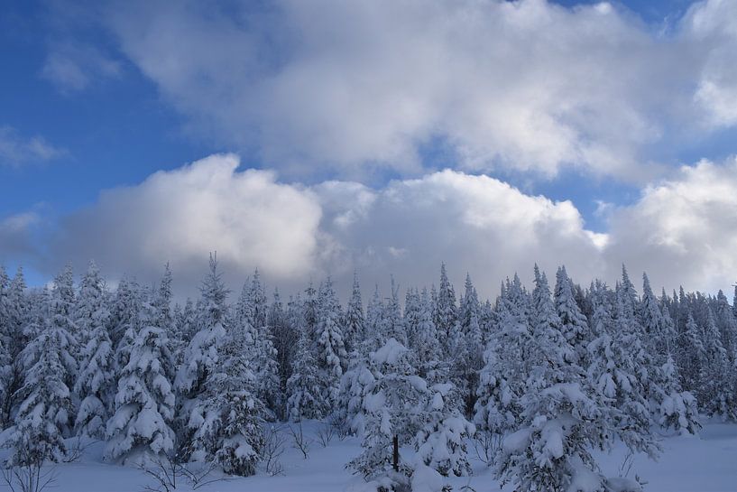 The top of the mountain after the storm by Claude Laprise