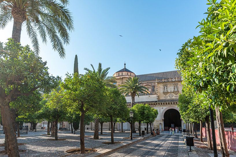 Platz an der Mezquita in Cordoba von Joke Van Eeghem