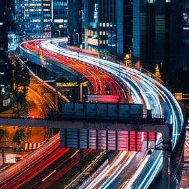Tokyo Highway by Sander Peters