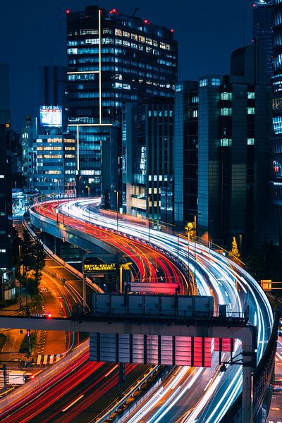 Tokyo Highway van Sander Peters Fotografie