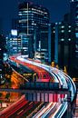 Tokyo Highway von Sander Peters Fotografie Miniaturansicht