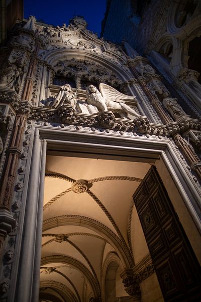 Venise - Palais des Doges de nuit par t.ART