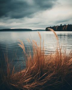 Herbst in der Uckermark