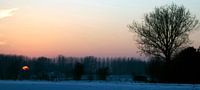 landschap