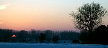 landschap van joost vandepapeliere