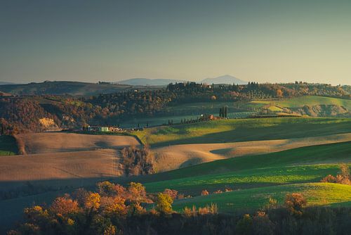 Paysage d'automne à Crete Senesi. Asciano, Toscane