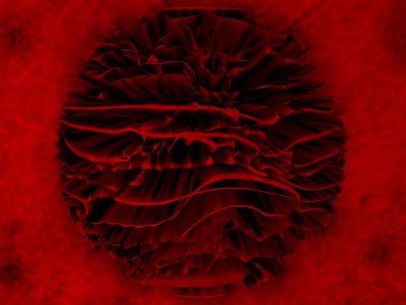 Rode Bloesem van Eric Nagel