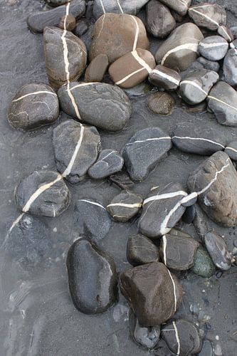 Linienkomposition_Natur-Kunst-Installation