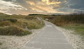 Wandelpad ( texel ) van Jose Lok
