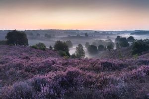 zonsopkomst boven een mistig posbank