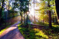 Loenen on the Veluwe.